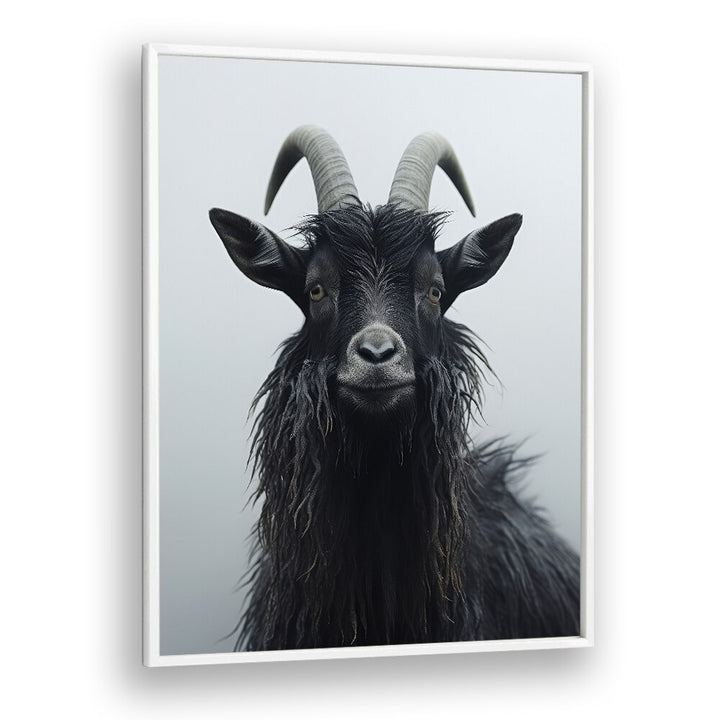 Mountain Goat by Treechild Wildlife Art Prints in White Plain Frame