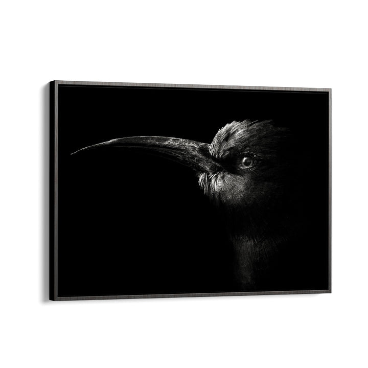 NORTHERN CARMINE BEE-EATER WILDLIFE PHOTOGRAPHY in Black Floater Frame