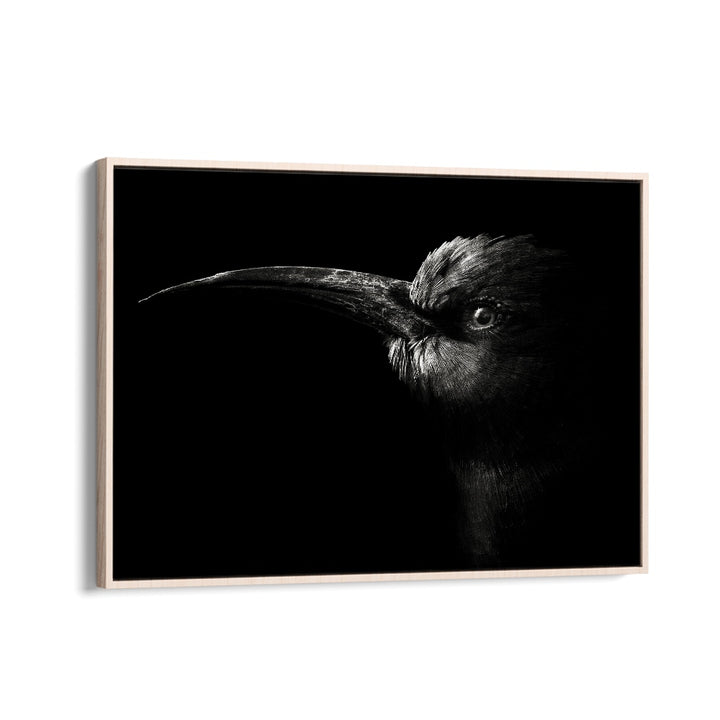 NORTHERN CARMINE BEE-EATER WILDLIFE PHOTOGRAPHY in Oak Wood Floater Frame