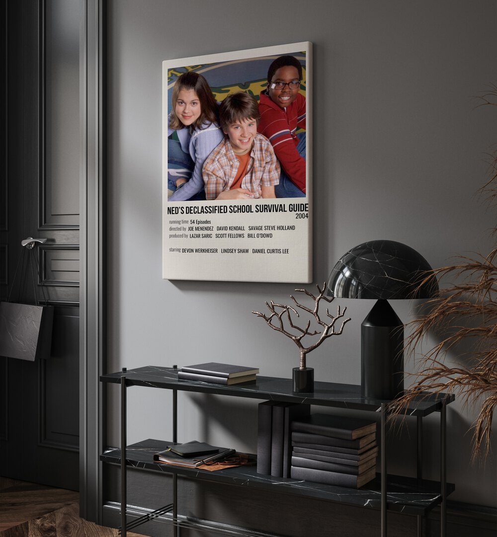 Neds Declassified School Survival Guide 2004 Movie Posters in Gallery Wrap hanging on wall above console table beside door and window