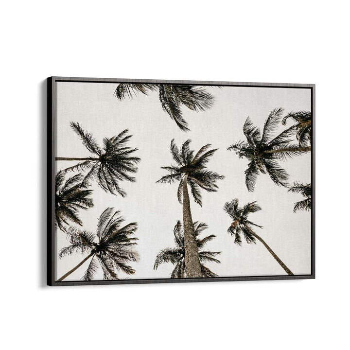 Noir Nirvana Beach Prints Coastal Wall Art in Black Floater Frame