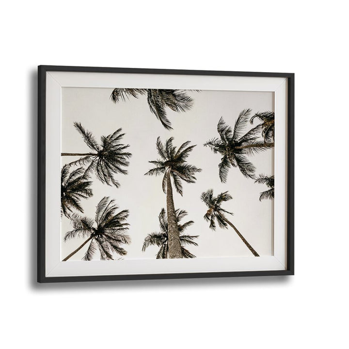 Noir Nirvana Beach Prints Coastal Wall Art in Black Frame With Mount