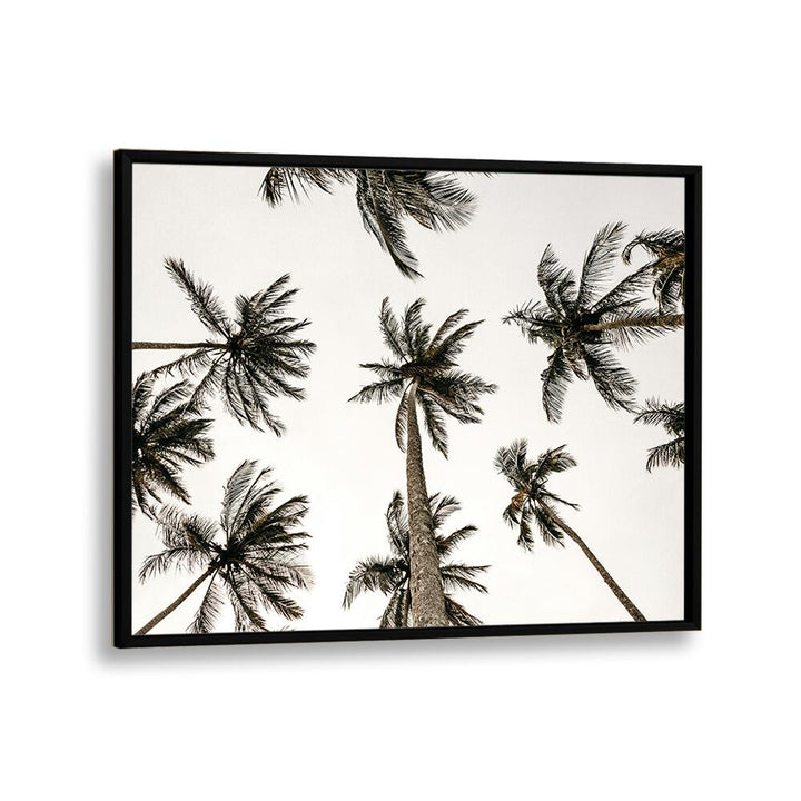 Noir Nirvana Beach Prints Coastal Wall Art in Black Plain Frame