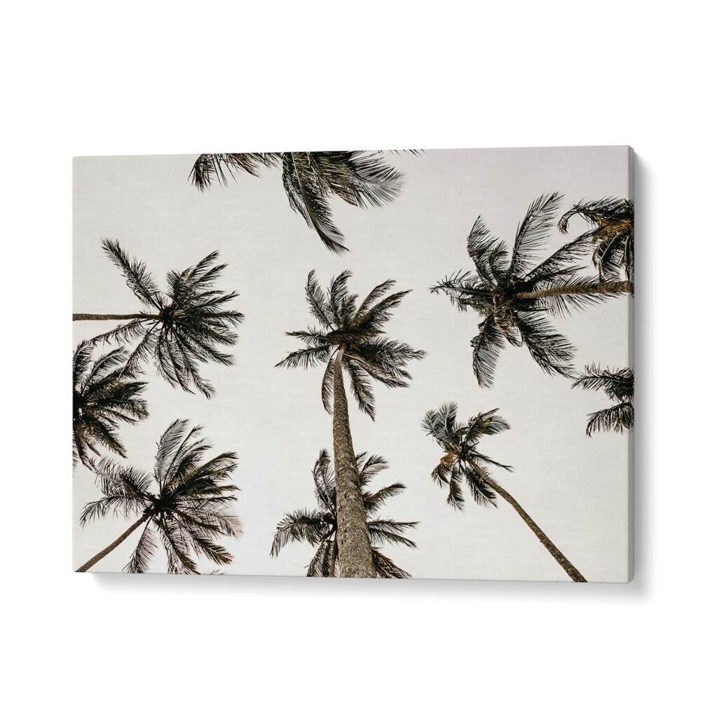 Noir Nirvana Beach Prints Coastal Wall Art in Gallery Wrap