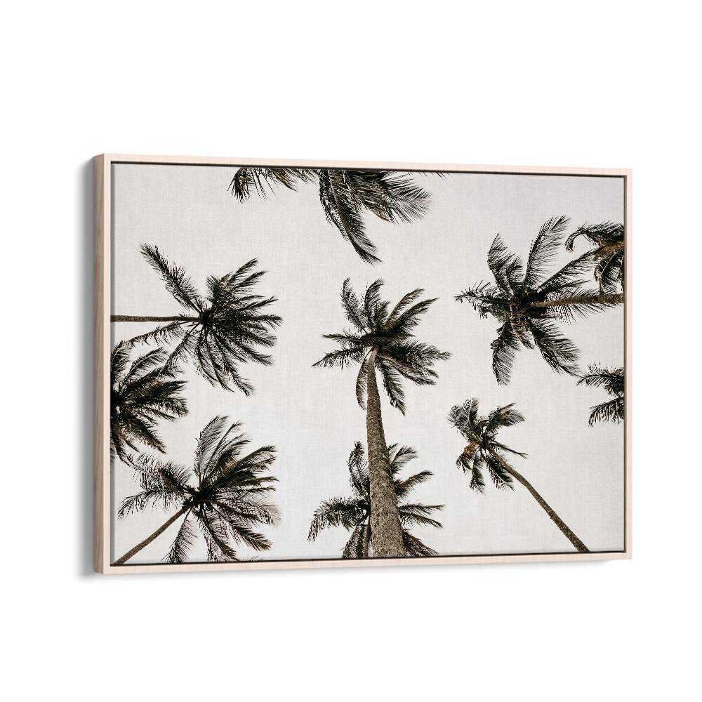 Noir Nirvana Beach Prints Coastal Wall Art in Oak Wood Floater Frame