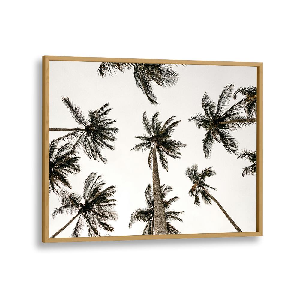 Noir Nirvana Beach Prints Coastal Wall Art in Oak Wood Plain Frame