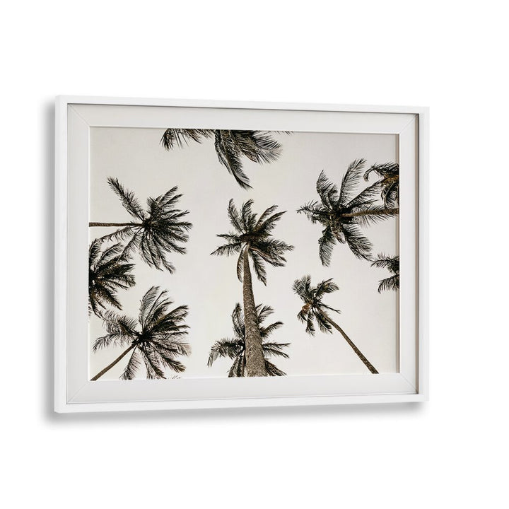 Noir Nirvana Beach Prints Coastal Wall Art in White Frame With Mount