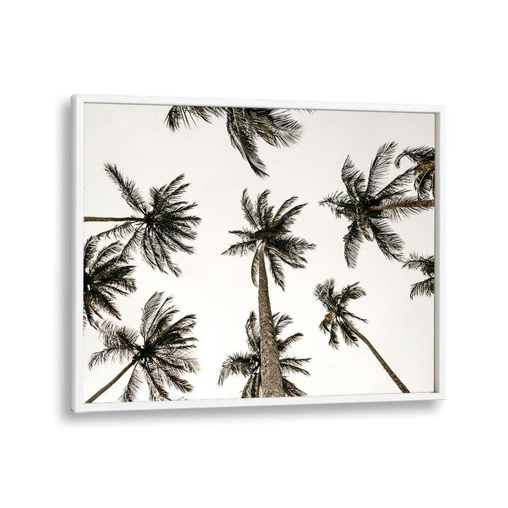 Noir Nirvana Beach Prints Coastal Wall Art in White Plain Frame