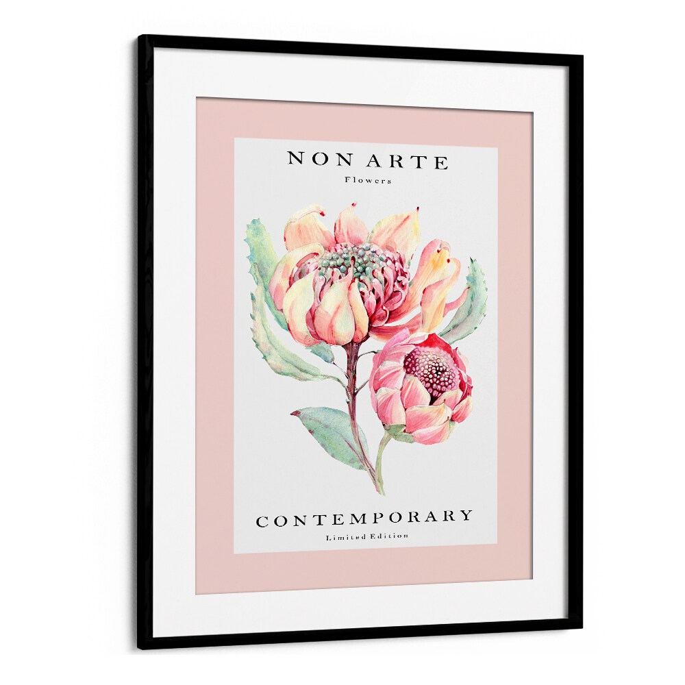 Non Arte Rose Flower By Rikke Londager Boisen Botanical Art Prints in Black Frame With Mount