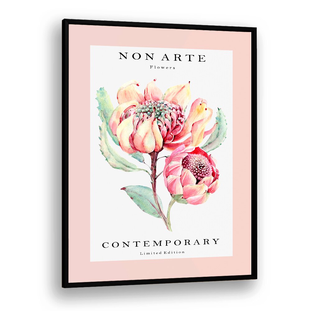 Non Arte Rose Flower By Rikke Londager Boisen Botanical Art Prints in Black Plain Frame