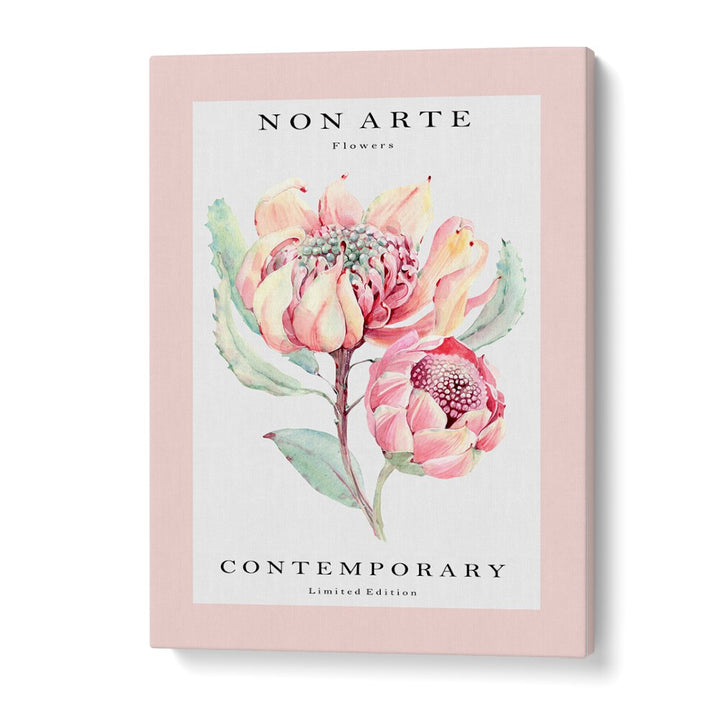 Non Arte Rose Flower By Rikke Londager Boisen Botanical Art Prints in Gallery Wrap