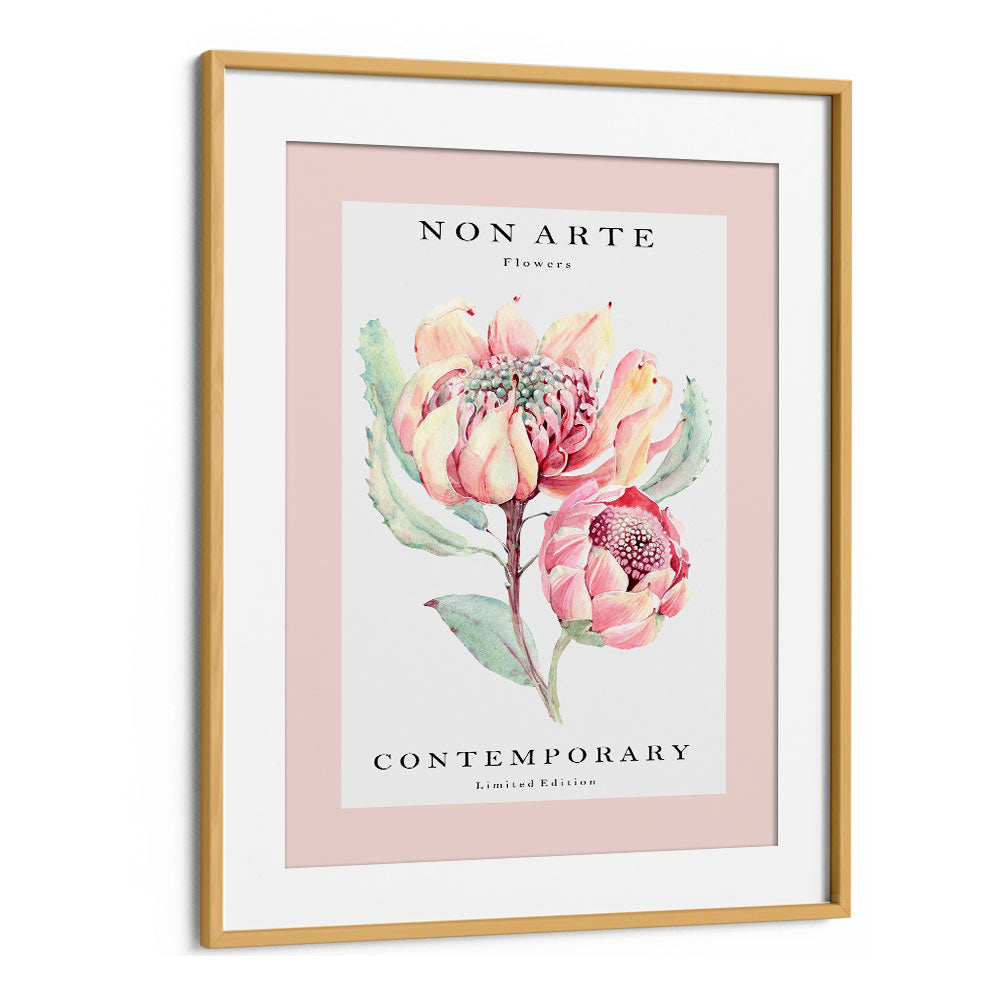 Non Arte Rose Flower By Rikke Londager Boisen Botanical Art Prints in Oak Wood Frame With Mount