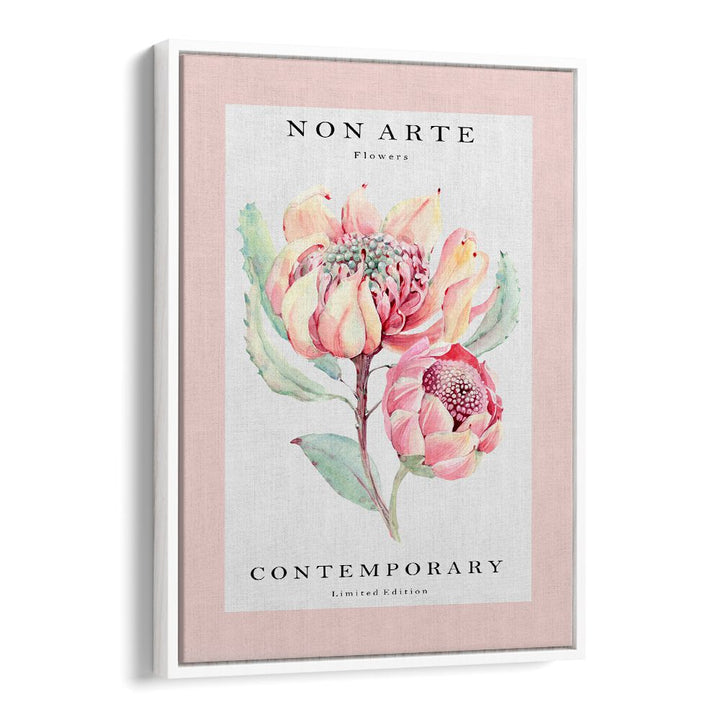 Non Arte Rose Flower By Rikke Londager Boisen Botanical Art Prints in White Floater Frame