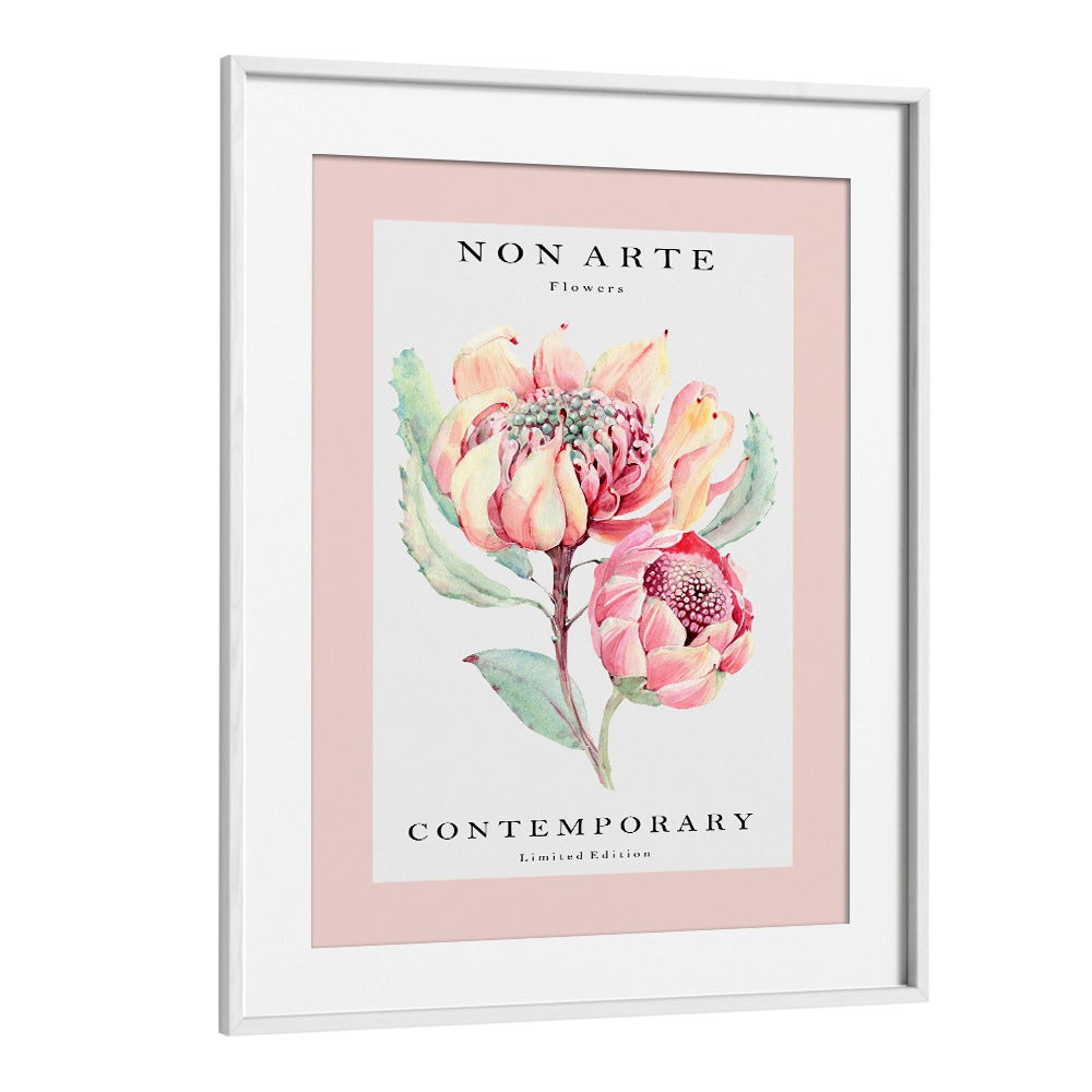 Non Arte Rose Flower By Rikke Londager Boisen Botanical Art Prints in White Frame With Mount