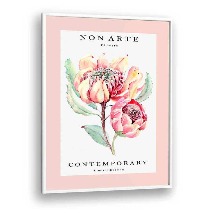 Non Arte Rose Flower By Rikke Londager Boisen Botanical Art Prints in White Plain Frame