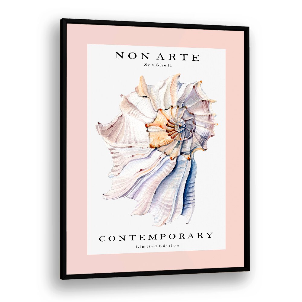 Non Arte Sea Shell I By Rikke Londager Boisen Beach Prints in Black Plain Frame