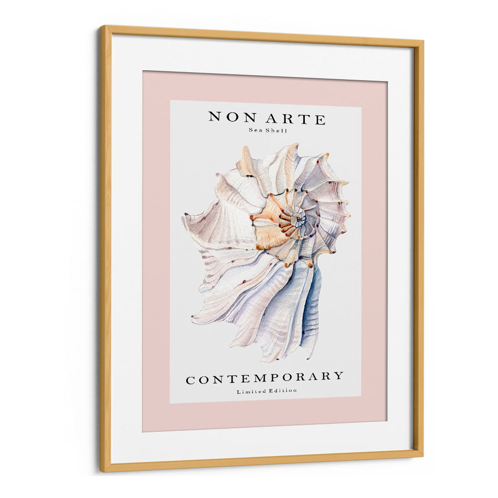 Non Arte Sea Shell I By Rikke Londager Boisen Beach Prints in Oak Wood Frame With Mount