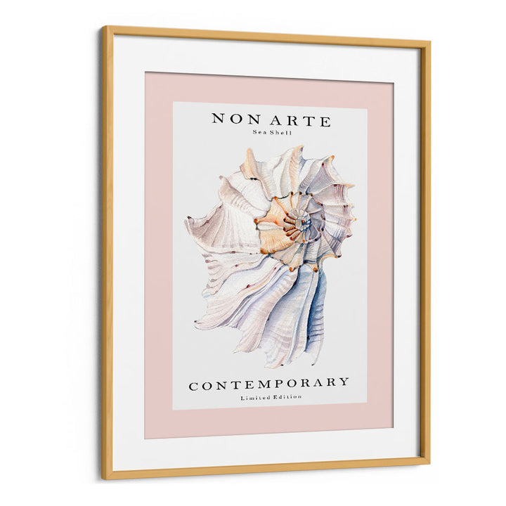 Non Arte Sea Shell I By Rikke Londager Boisen Beach Prints in Oak Wood Frame With Mount