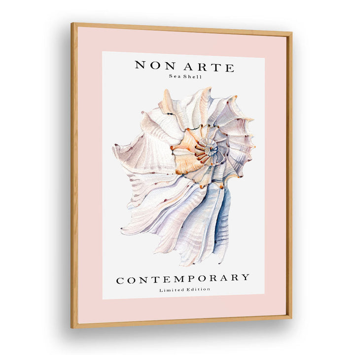 Non Arte Sea Shell I By Rikke Londager Boisen Beach Prints in Oak Wood Plain Frame
