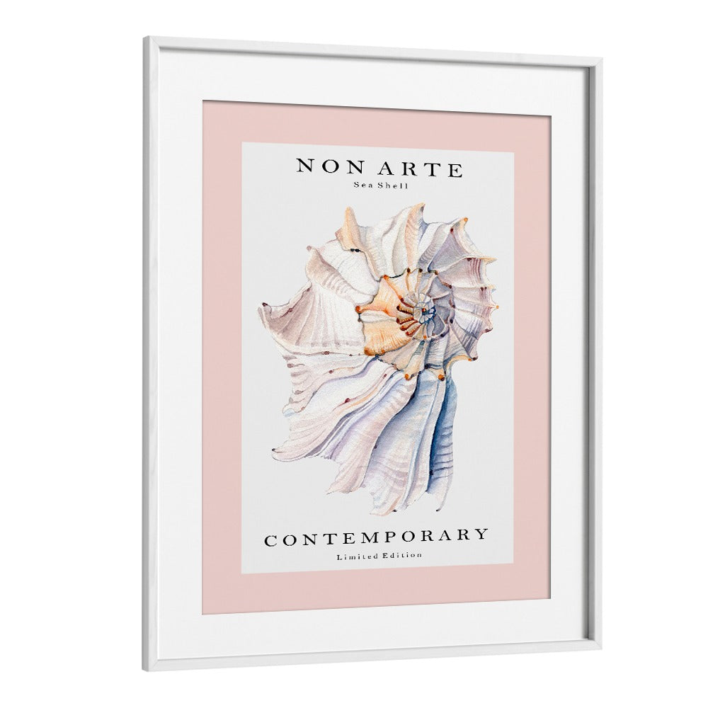 Non Arte Sea Shell I By Rikke Londager Boisen Beach Prints in White Frame With Mount