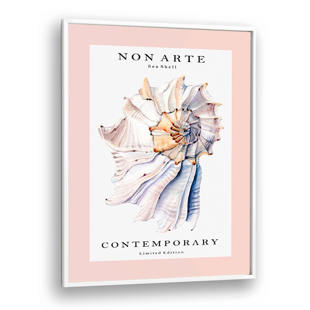 Non Arte Sea Shell I By Rikke Londager Boisen Beach Prints in White Plain Frame