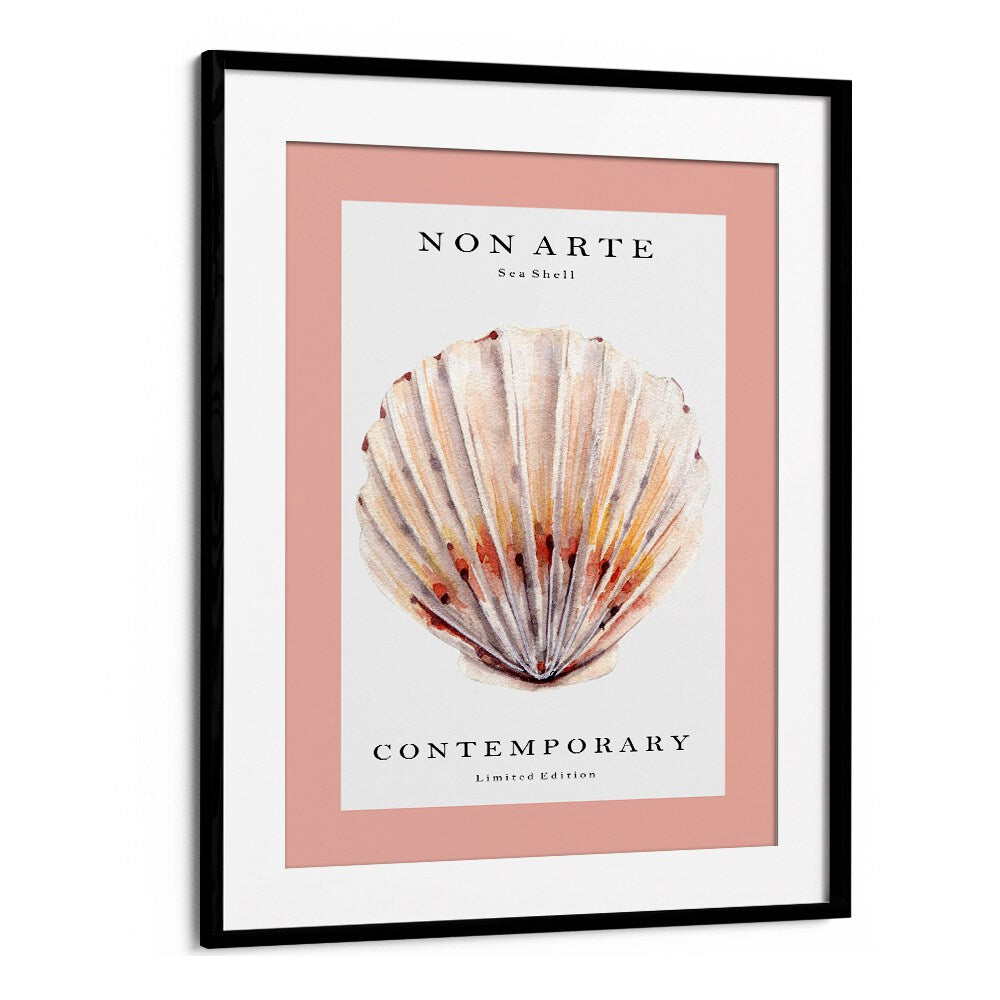 Non Arte Sea Shell II By Rikke Londager Boisen Beach Prints in Black Frame With Mount