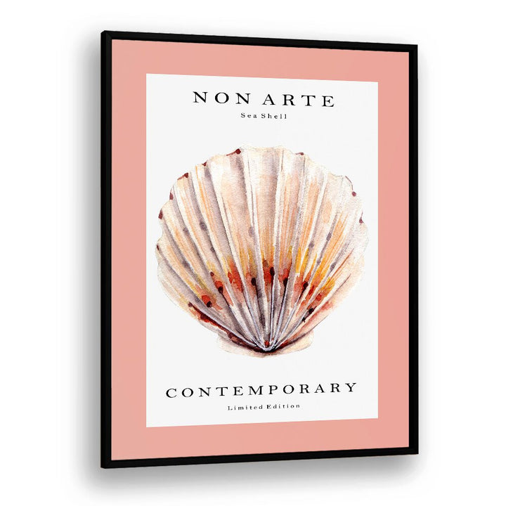 Non Arte Sea Shell II By Rikke Londager Boisen Beach Prints in Black Plain Frame