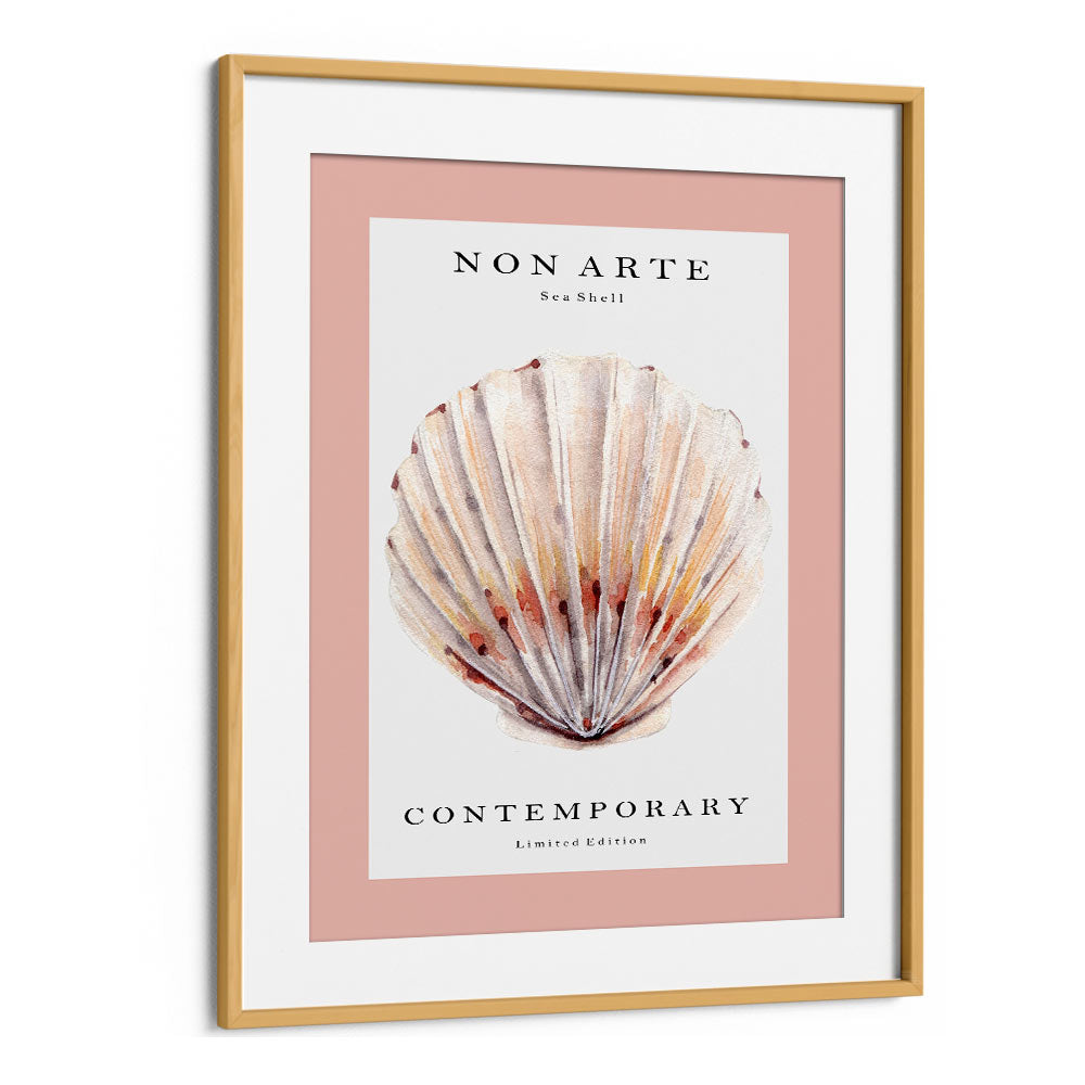 Non Arte Sea Shell II By Rikke Londager Boisen Beach Prints in Oak Wood Frame With Mount