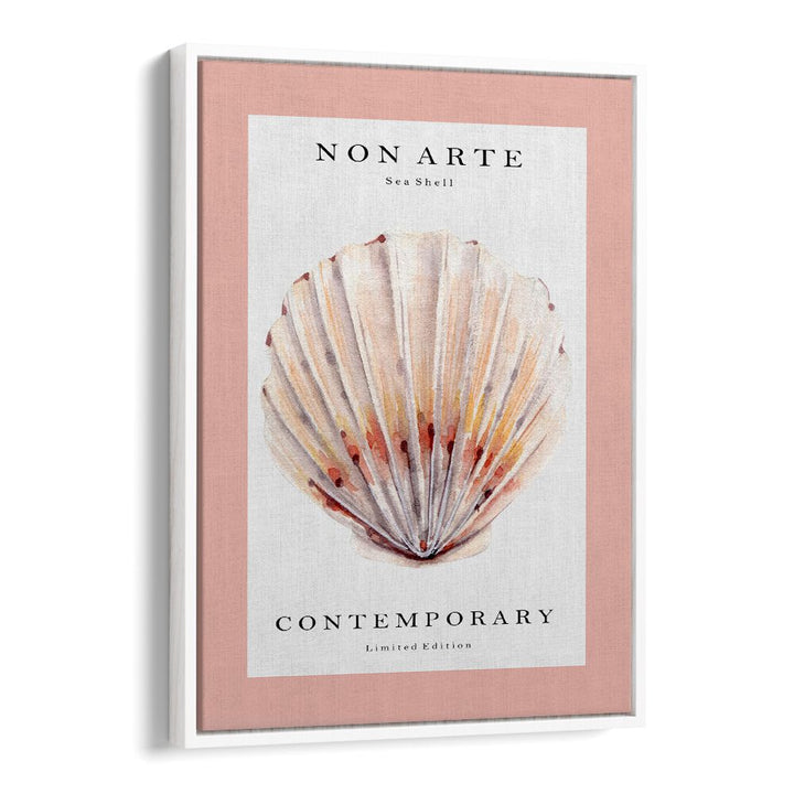 Non Arte Sea Shell II By Rikke Londager Boisen Beach Prints in White Floater Frame