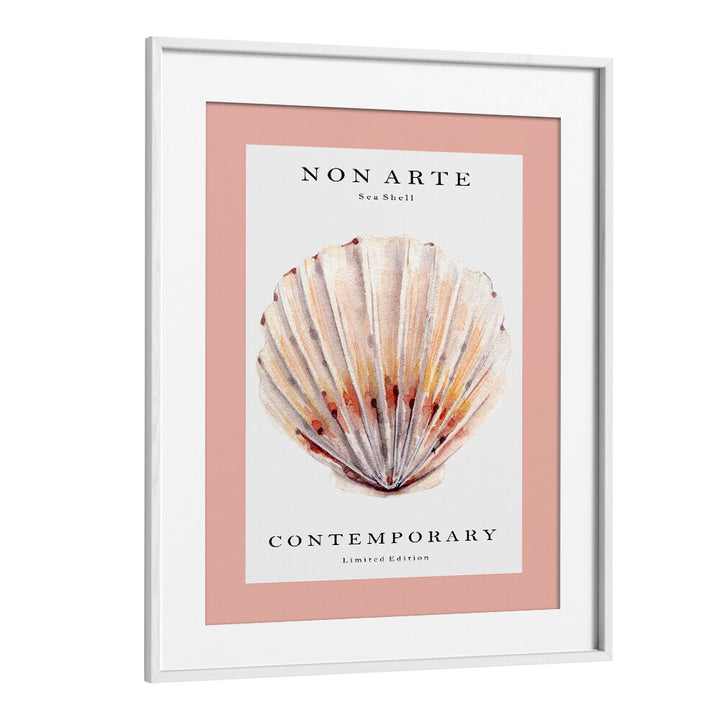 Non Arte Sea Shell II By Rikke Londager Boisen Beach Prints in White Frame With Mount