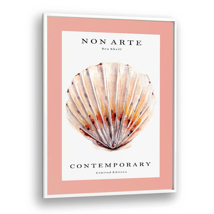 Non Arte Sea Shell II By Rikke Londager Boisen Beach Prints in White Plain Frame