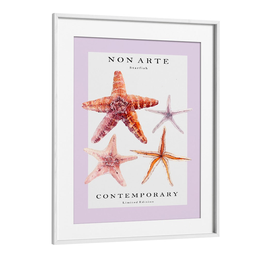 Non Arte Starfish By Rikke Londager Boisen Beach Prints in White Frame With Mount