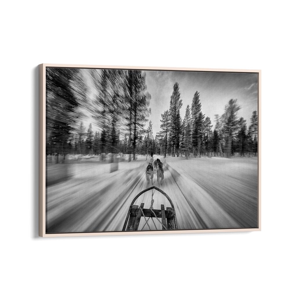 PHOTOGRAPHY painting - DOGSLEDDING BY IDO MEIROVICH by Asianmonk