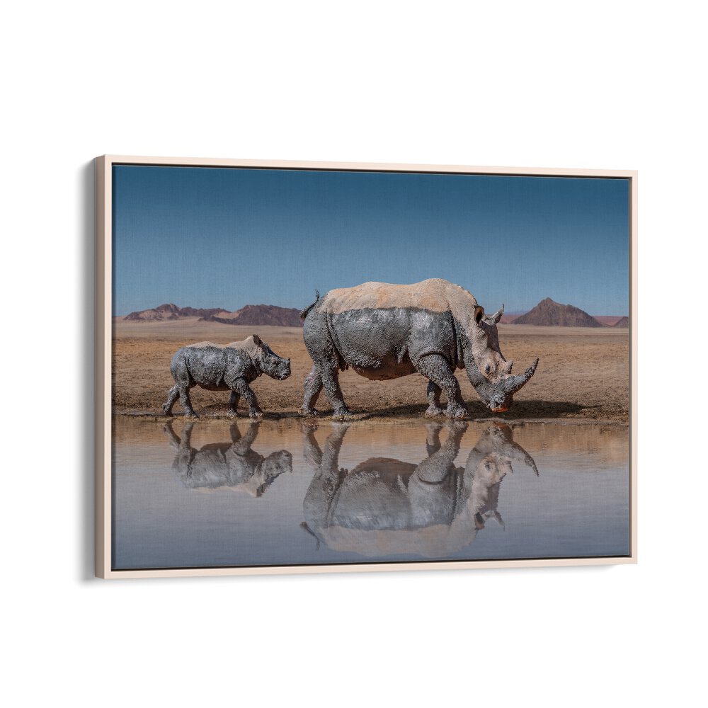 Rhinos walk gracefully by water, showcasing the beauty of nature in our RHINOS WALK, PHOTOGRAPHY PRINTS collection.