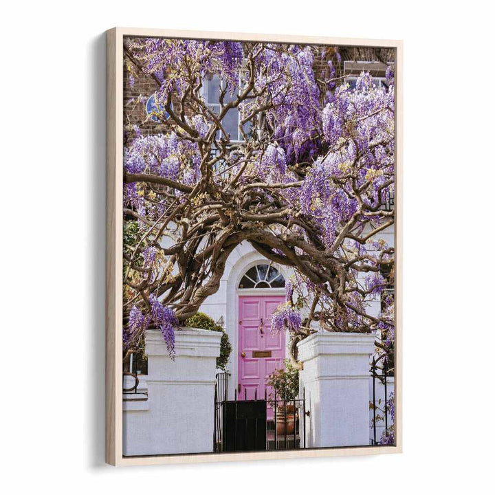 WISTERIA DREAMS , STREET PHOTOGRAPHY ART PRINTS