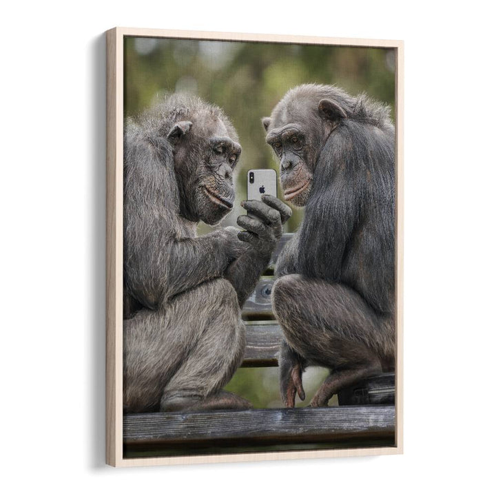 ABSTRACT painting - MONKEY PHONE by Asianmonk