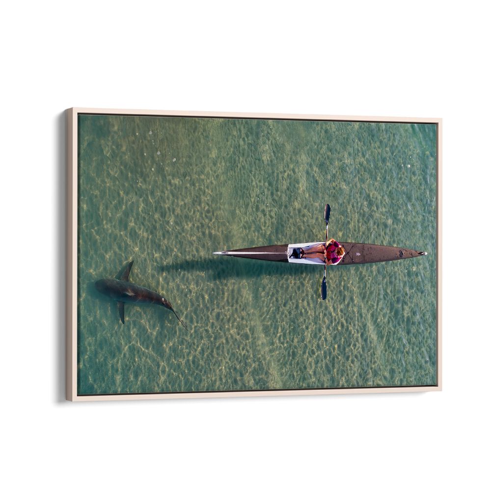 PHOTOGRAPHY painting - SHARK KAYAKING BY IDO MEIROVICH by Asianmonk