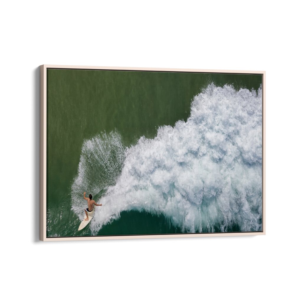 PHOTOGRAPHY painting - SURFING ROOSTER BY IDO MEIROVICH by Asianmonk