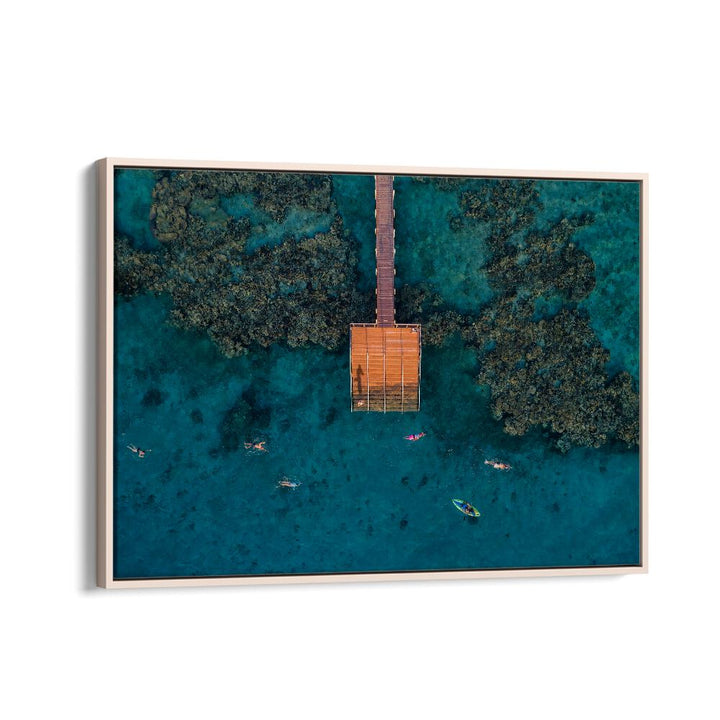 PHOTOGRAPHY painting - CORAL ESCAPE BY IDO MEIROVICH by Asianmonk