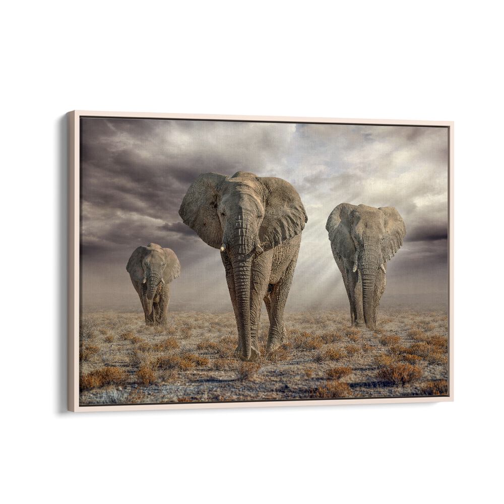 ABSTRACT painting - ETOSHA ELEPHANTS by Asianmonk