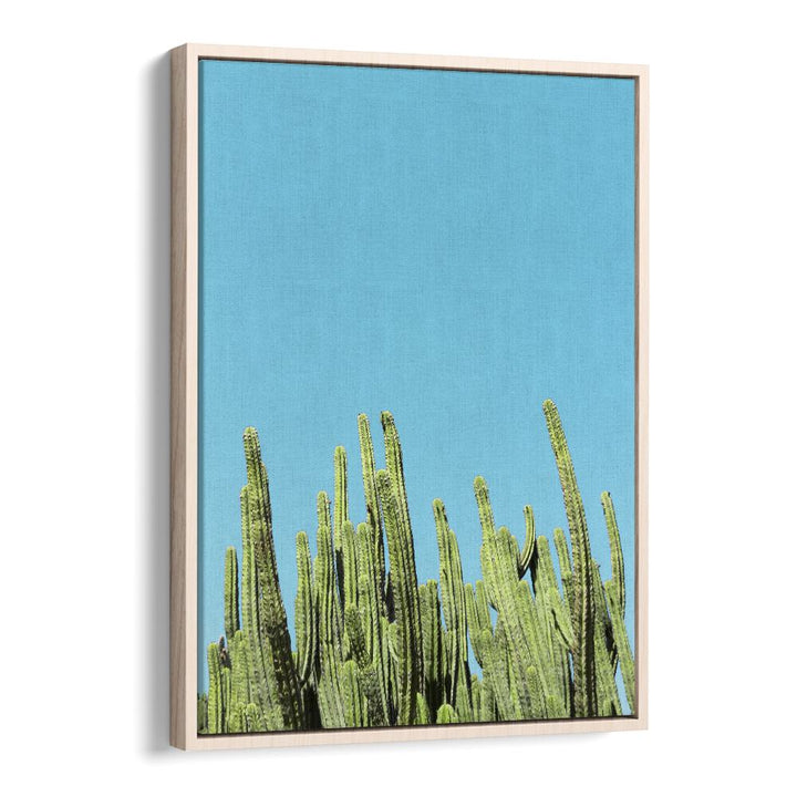 surreal painting - CACTUS REACHING FOR THE SKY by Asianmonk