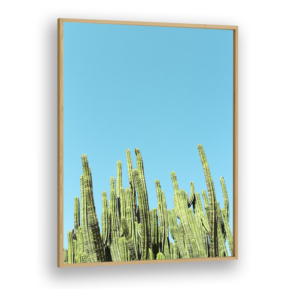 surreal painting - CACTUS REACHING FOR THE SKY by Asianmonk