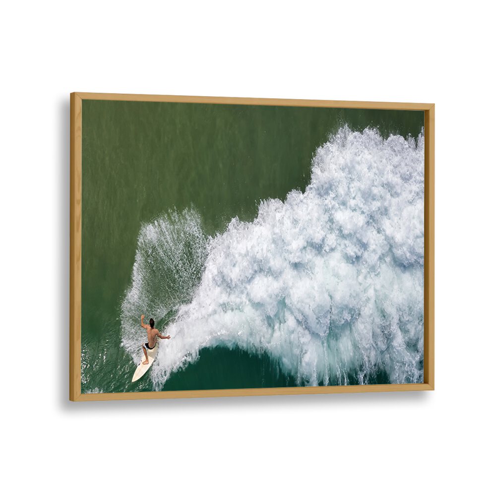 PHOTOGRAPHY painting - SURFING ROOSTER BY IDO MEIROVICH by Asianmonk