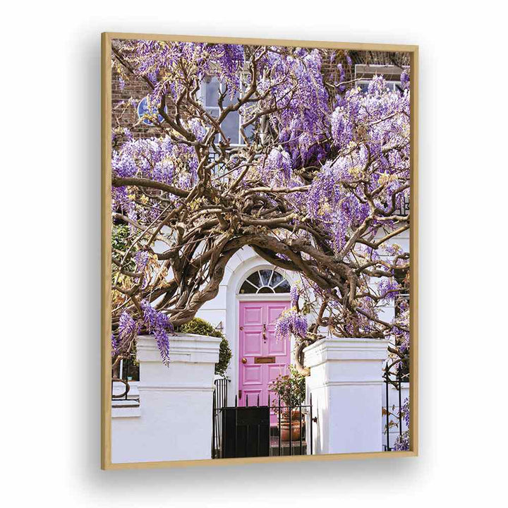 WISTERIA DREAMS BY GABOR ESTEFAN, STREET PHOTOGRAPHY ART PRINTS