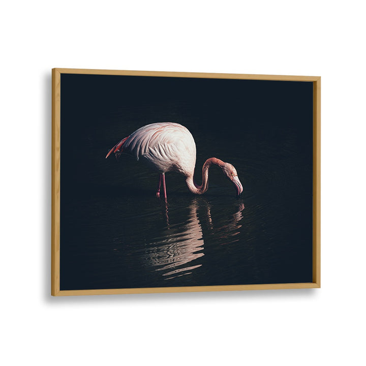 ABSTRACT painting - ENLIGHTED FLAMINGO by Asianmonk