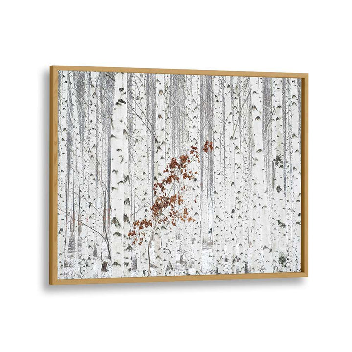 ABSTRACT painting - FROM WHITE by Asianmonk