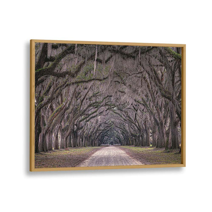 ABSTRACT painting - OAKS AVENUE by Asianmonk