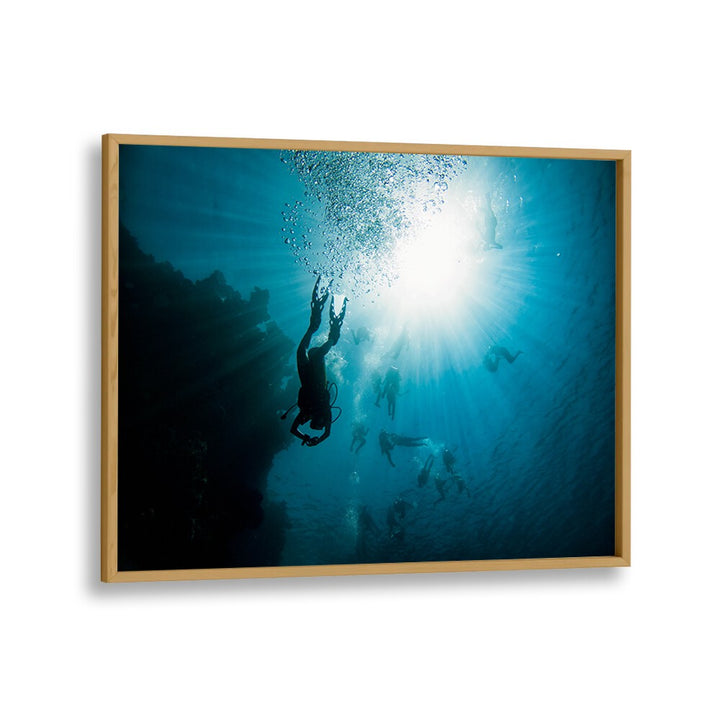 PHOTOGRAPHY painting - UNDERWATER PARTY BY IDO MEIROVICH by Asianmonk