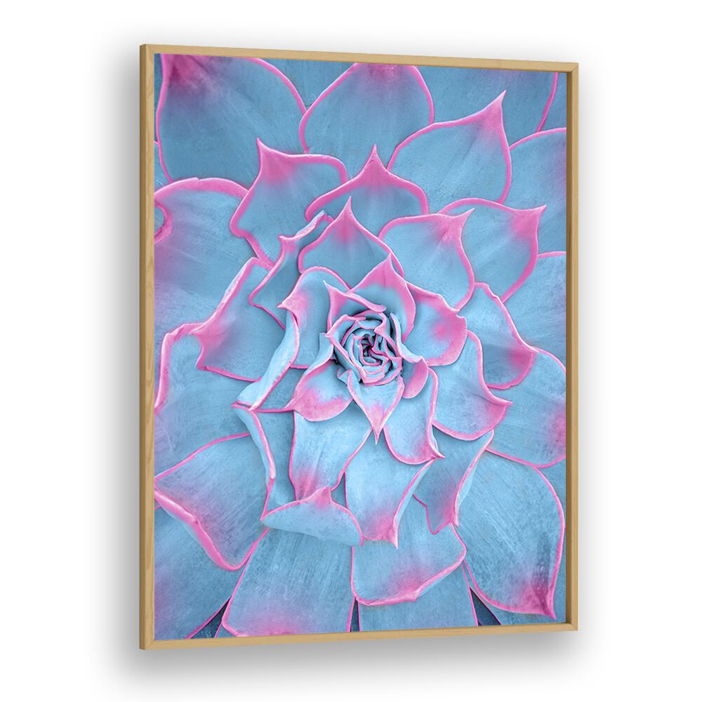 surreal painting - BLUE AND PINK SUCCULENT by Asianmonk