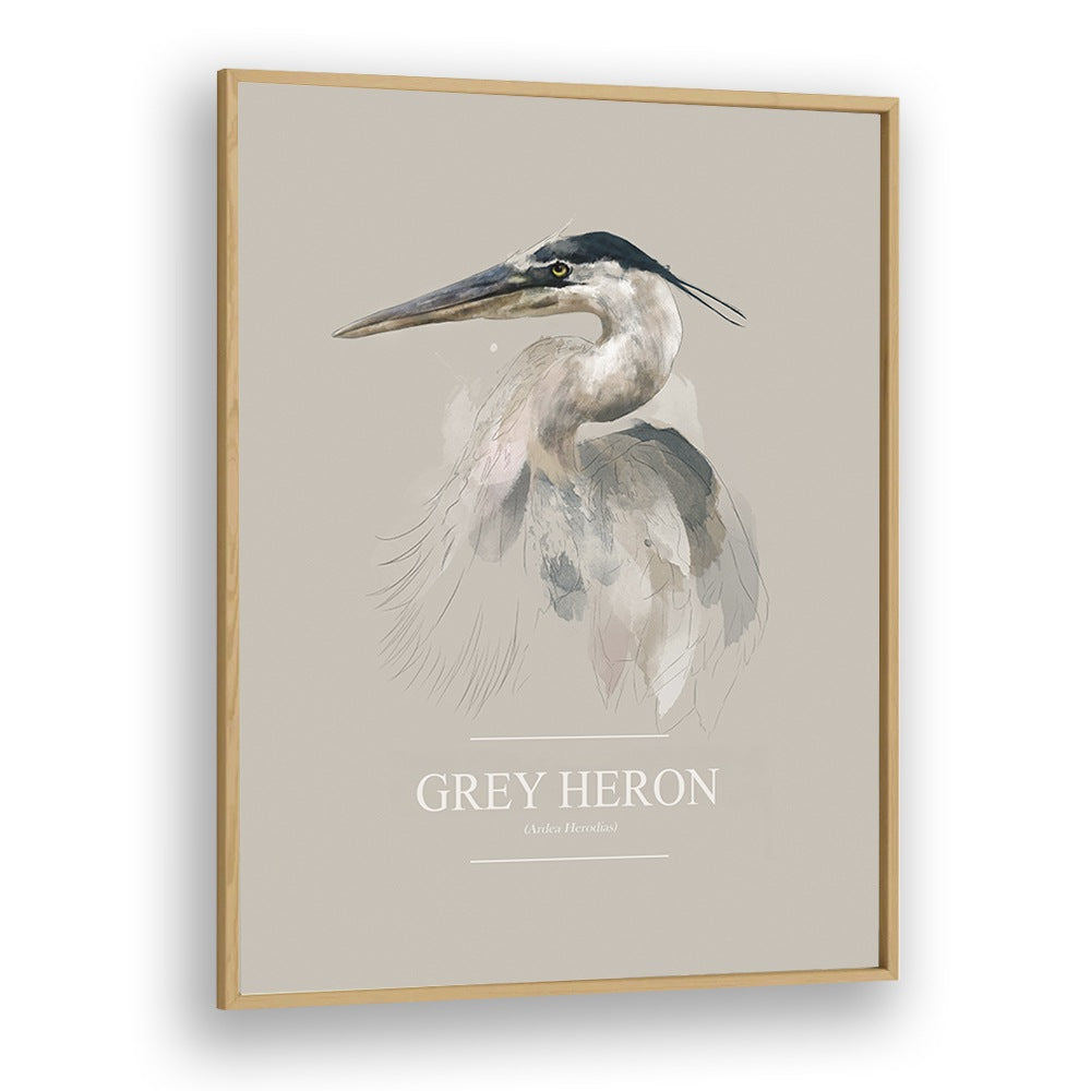 Ohara Koson painting - GREY HERON by Asianmonk